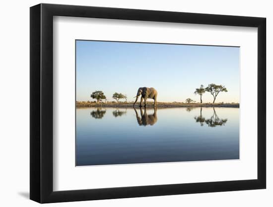 African Elephant, Chobe National Park, Botswana-Paul Souders-Framed Photographic Print