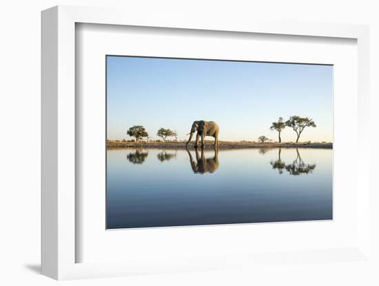 African Elephant, Chobe National Park, Botswana-Paul Souders-Framed Photographic Print