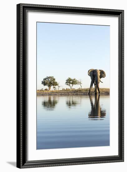 African Elephant, Chobe National Park, Botswana-Paul Souders-Framed Photographic Print