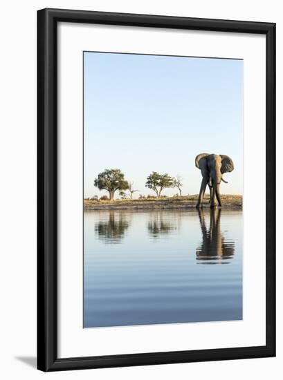 African Elephant, Chobe National Park, Botswana-Paul Souders-Framed Photographic Print