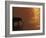 African Elephant, Drinking at Dusk, Chobe National Park, Botswana-Pete Oxford-Framed Photographic Print