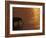 African Elephant, Drinking at Dusk, Chobe National Park, Botswana-Pete Oxford-Framed Photographic Print