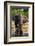 African elephant drinking in Okavango Delta. Botswana.-Sergio Pitamitz-Framed Photographic Print