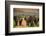 African Elephant Family on Safari, Mizumi Safari Park, Tanzania, East Africa, Africa-Laura Grier-Framed Photographic Print