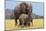 African Elephant Female, Cow with Young Calf-null-Mounted Photographic Print