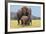 African Elephant Female, Cow with Young Calf-null-Framed Photographic Print