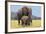 African Elephant Female, Cow with Young Calf-null-Framed Photographic Print