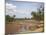 African Elephant Going to the Uaso Nyro River, Samburu National Reserve, Kenya, East Africa, Africa-James Hager-Mounted Photographic Print