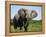 African Elephant Grazing, Chobe National Park Botswana-Tony Heald-Framed Premier Image Canvas