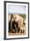 African elephant herd , Addo Elephant Nat'l Park, Eastern Cape, South Africa, Africa-Christian Kober-Framed Photographic Print