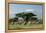 African Elephant Herd Infront of Mt, Kilimanjaro-null-Framed Premier Image Canvas