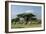 African Elephant Herd Infront of Mt, Kilimanjaro-null-Framed Photographic Print