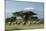 African Elephant Herd Infront of Mt, Kilimanjaro-null-Mounted Photographic Print
