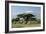 African Elephant Herd Infront of Mt, Kilimanjaro-null-Framed Photographic Print