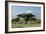 African Elephant Herd Infront of Mt, Kilimanjaro-null-Framed Photographic Print