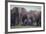 African Elephant Herd with Young-DLILLC-Framed Photographic Print