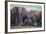 African Elephant Herd with Young-DLILLC-Framed Photographic Print