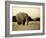 African Elephant in Amboseli National Park, Kenya-Santosh Saligram-Framed Photographic Print