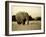 African Elephant in Amboseli National Park, Kenya-Santosh Saligram-Framed Photographic Print