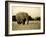 African Elephant in Amboseli National Park, Kenya-Santosh Saligram-Framed Photographic Print