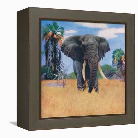 African Elephant in His Native Haunts-Wilhelm Kuhnert-Framed Premier Image Canvas