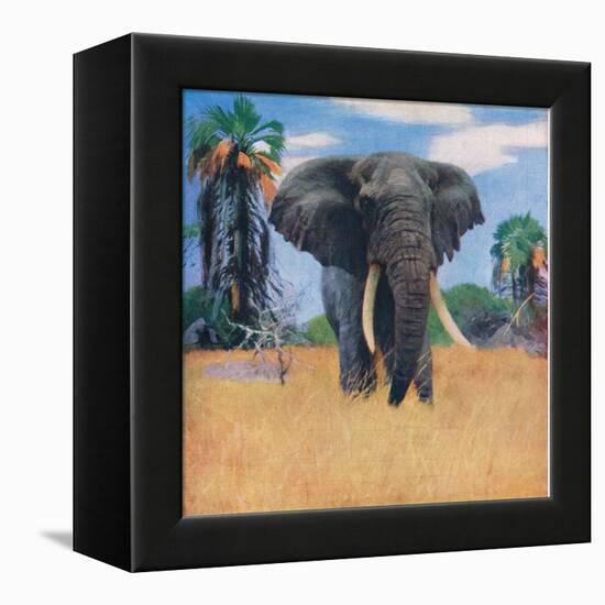 African Elephant in His Native Haunts-Wilhelm Kuhnert-Framed Premier Image Canvas