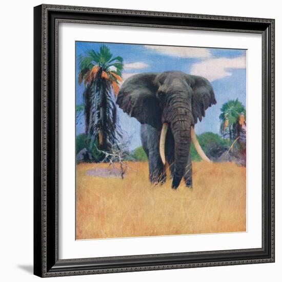 African Elephant in His Native Haunts-Wilhelm Kuhnert-Framed Giclee Print