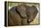 African Elephant (Loxodonta africana) at waterhole, Etosha National Park, Namibia-null-Framed Premier Image Canvas