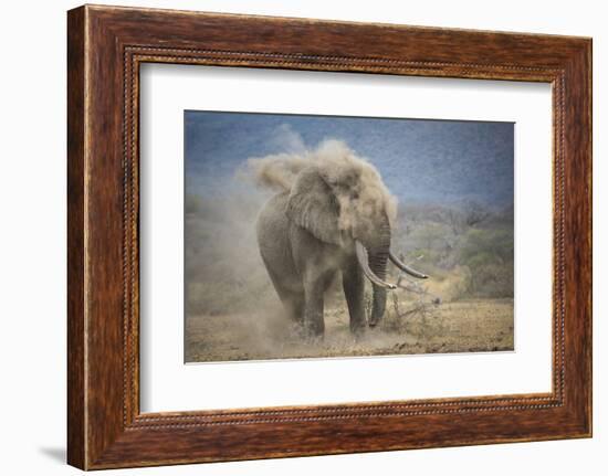 African Elephant (Loxodonta Africana) Bull Dust-Bathing, Chyulu Hills, Kenya-Wim van den Heever-Framed Photographic Print