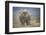 African Elephant (Loxodonta Africana) Bull Dust-Bathing, Chyulu Hills, Kenya-Wim van den Heever-Framed Photographic Print