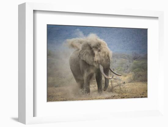 African Elephant (Loxodonta Africana) Bull Dust-Bathing, Chyulu Hills, Kenya-Wim van den Heever-Framed Photographic Print