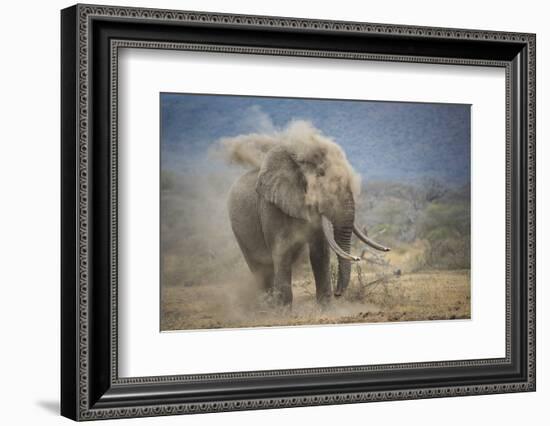 African Elephant (Loxodonta Africana) Bull Dust-Bathing, Chyulu Hills, Kenya-Wim van den Heever-Framed Photographic Print