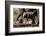 African elephant (Loxodonta africana) calf at waterhole, Mashatu Game Reserve, Botswana, Africa-Sergio Pitamitz-Framed Photographic Print