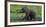 African Elephant (Loxodonta Africana) Calf Covered in Mud-Cheryl-Samantha Owen-Framed Photographic Print