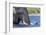 African elephant (Loxodonta africana) crossing river, Chobe River, Botswana, Africa-Ann and Steve Toon-Framed Photographic Print