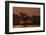 African elephant (Loxodonta africana) dusting at sunset, Chobe National Park, Botswana-Ann and Steve Toon-Framed Photographic Print