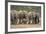 African Elephant (Loxodonta Africana) Family, Addo Elephant National Park, South Africa, Africa-James Hager-Framed Photographic Print