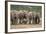 African Elephant (Loxodonta Africana) Family, Addo Elephant National Park, South Africa, Africa-James Hager-Framed Photographic Print