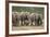 African Elephant (Loxodonta Africana) Family, Addo Elephant National Park, South Africa, Africa-James Hager-Framed Photographic Print