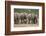 African Elephant (Loxodonta Africana) Family, Addo Elephant National Park, South Africa, Africa-James Hager-Framed Photographic Print