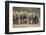 African Elephant (Loxodonta Africana) Family, Addo Elephant National Park, South Africa, Africa-James Hager-Framed Photographic Print