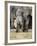 African Elephant, Loxodonta Africana, Greater Addo National Park, South Africa, Africa-Ann & Steve Toon-Framed Photographic Print