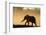 African elephant (Loxodonta africana) in silhouette, Mashatu Game Reserve, Botswana, Africa-Sergio Pitamitz-Framed Photographic Print