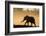 African elephant (Loxodonta africana) in silhouette, Mashatu Game Reserve, Botswana, Africa-Sergio Pitamitz-Framed Photographic Print