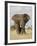 African Elephant (Loxodonta Africana), Kruger National Park, South Africa, Africa-James Hager-Framed Photographic Print