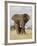 African Elephant (Loxodonta Africana), Kruger National Park, South Africa, Africa-James Hager-Framed Photographic Print