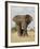 African Elephant (Loxodonta Africana), Kruger National Park, South Africa, Africa-James Hager-Framed Photographic Print