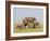 African Elephant (Loxodonta Africana), Masai Mara, Kenya, East Africa, Africa-Sergio Pitamitz-Framed Photographic Print