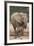 African Elephant (Loxodonta Africana) Mother and Baby-James Hager-Framed Photographic Print