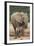 African Elephant (Loxodonta Africana) Mother and Baby-James Hager-Framed Photographic Print